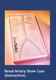 Renal Artery Show Case (interactive)