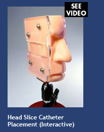 Head Slice Catheter Placement (interactive)