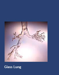 Glass Lung