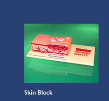 Skin Block