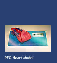 PFO Heart Model
