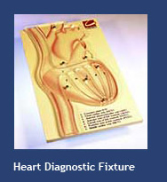 Heart Diagnostic Fixture
