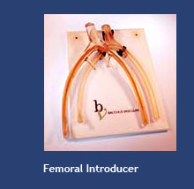 Femoral Introducer
