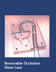 Removable Occlusion Show Case