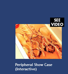 Peripheral Show Case (interactive)