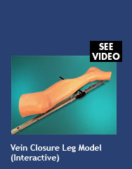 Vein Closure Leg Model (interactive)