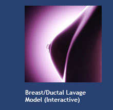 Breast/Ductal Lavage Model (interactive)