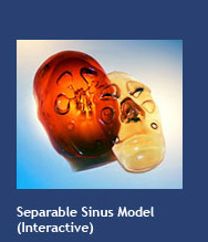 Separable Sinus Model (interactive)