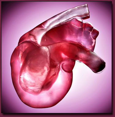 Clear Heart