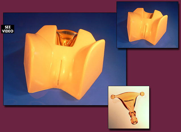 Pelvic Uteri Model