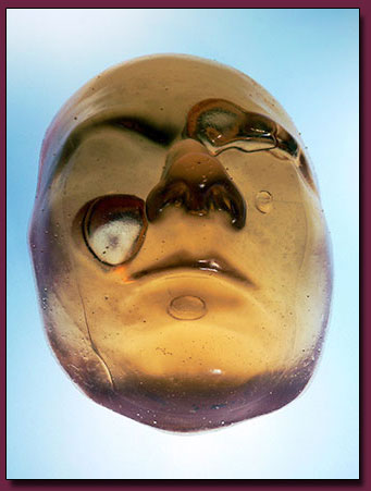 Separable Face