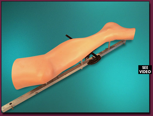 Vein Closure Leg Model