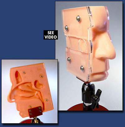 Head Slice Catheter Placement