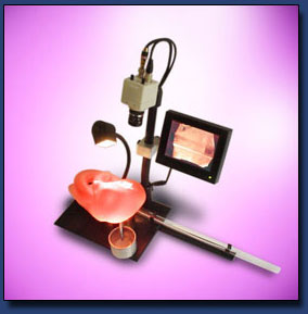 Total Occlusion Demonstrator