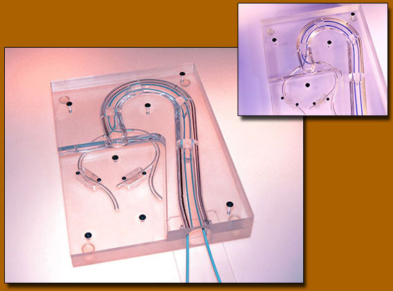 Removable Occlusion Show Case