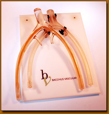 Femoral Introducer